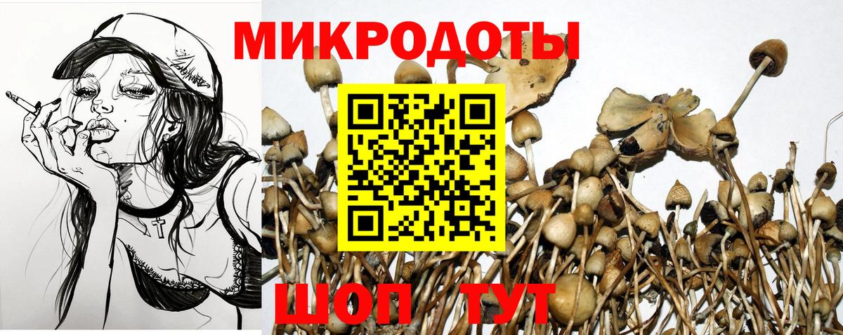 Псилоцибиновые грибы ЛСД Санкт-Петербург