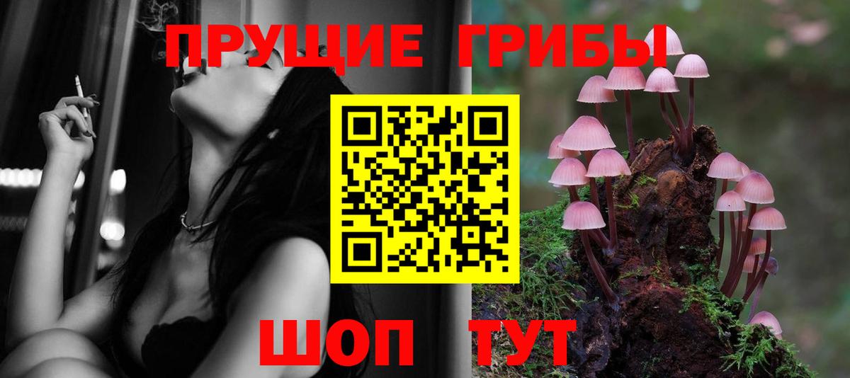 Галлюциногенные грибы прущие грибы  Вход с VPN  Санкт-Петербург  Галлюциногенные грибы Magic Shrooms 